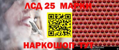 ПСИЛОЦИБИНОВЫЕ ГРИБЫ Гусев
