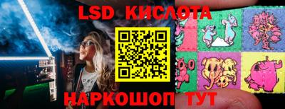 ПСИЛОЦИБИНОВЫЕ ГРИБЫ Гусев