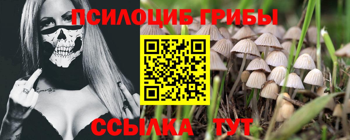 Псилоцибиновые грибы ЛСД  купить  сайты  Лесосибирск  Вход с VPN 