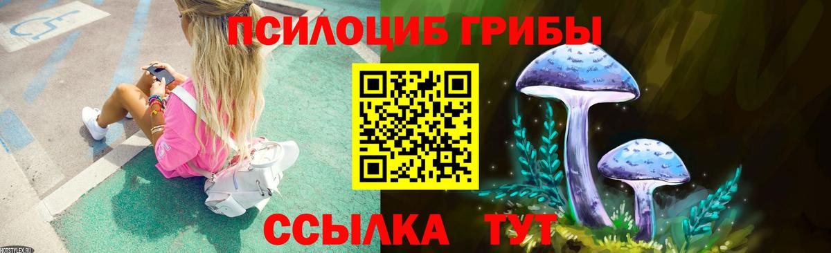 Псилоцибиновые грибы мицелий Лесосибирск